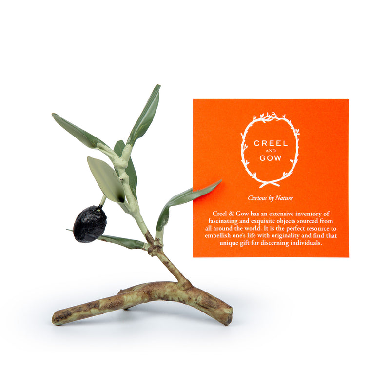 Olive Branch Place Card Holder