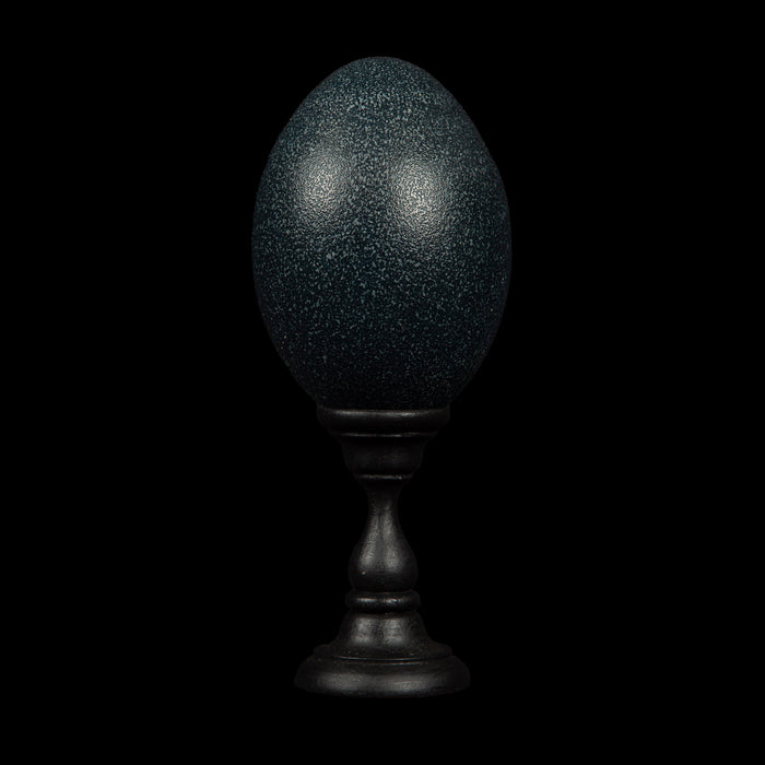 Mounted Emu Egg, Small, 8.5" H