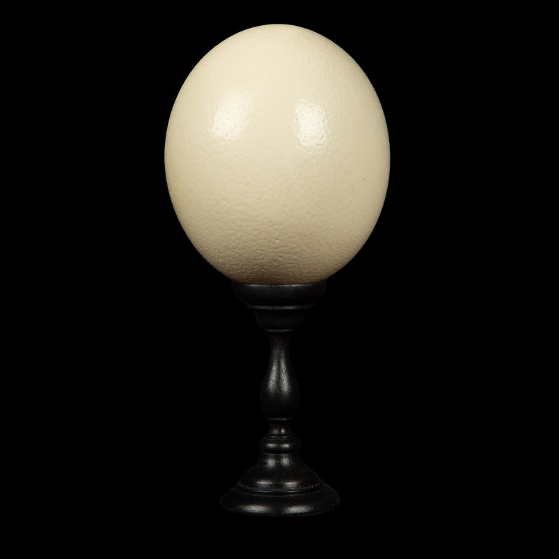 Mounted Ostrich Egg, Small, 10.5" H