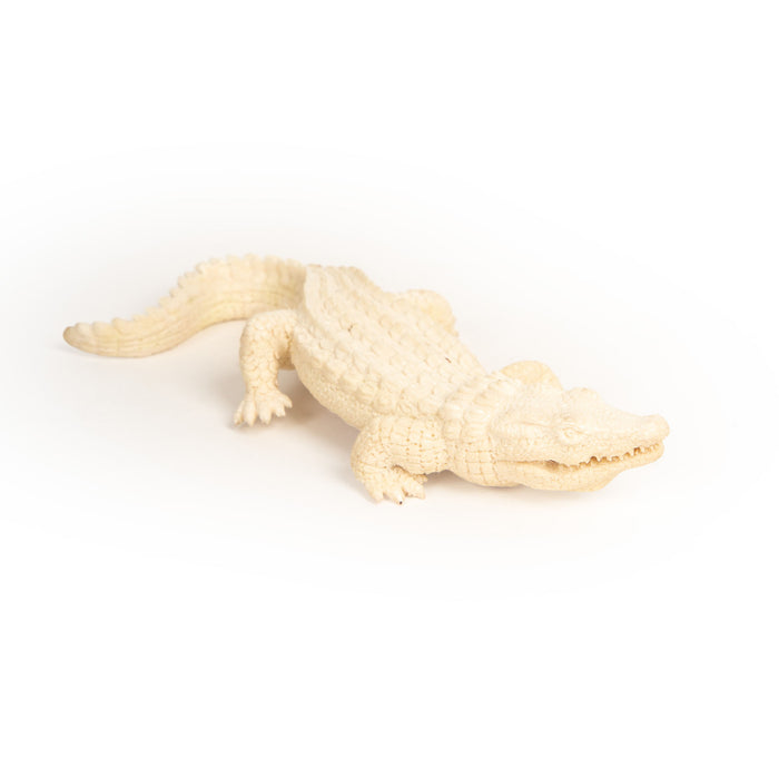 Moose Antler Alligator – Wildly Cool, Naturally Kind