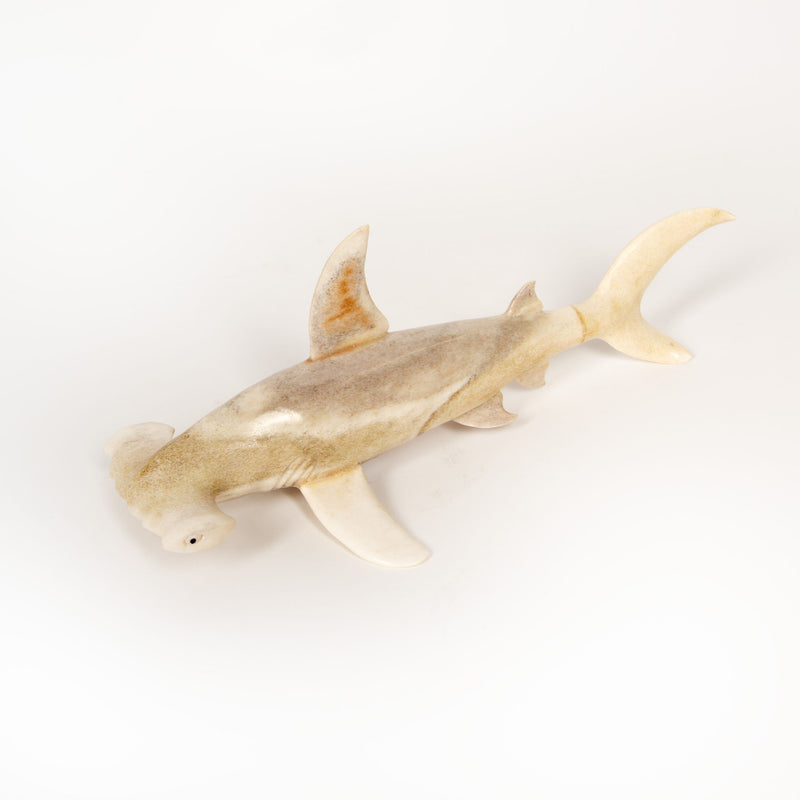 Hammerhead Shark Moose Antler Carving