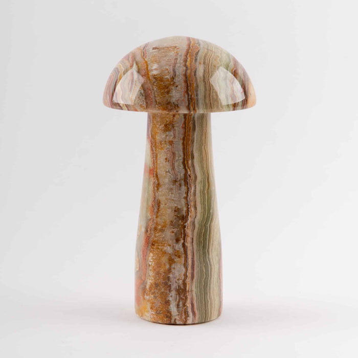 Onyx Mushrooms
