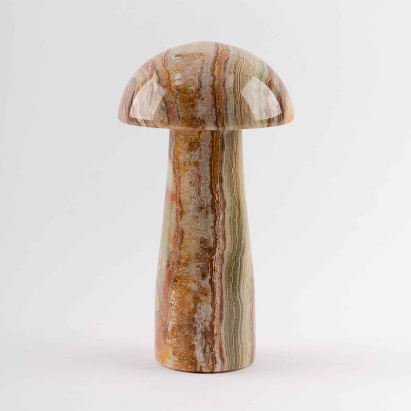 Onyx Mushrooms