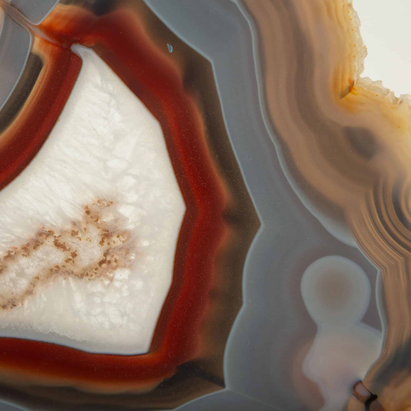Earth’s Eye: Mounted Agate Slice