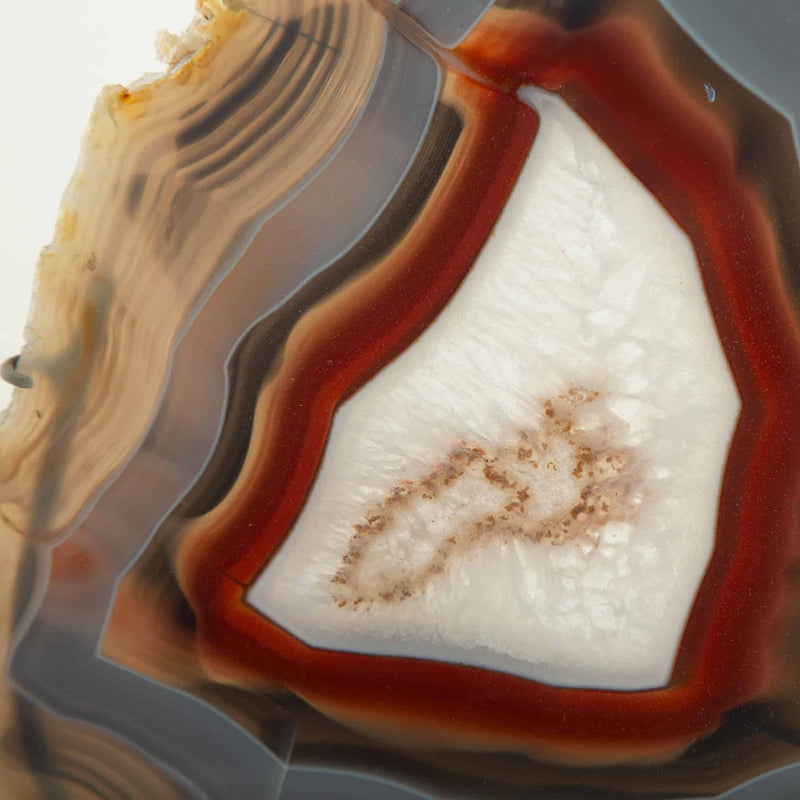 Earth’s Eye: Mounted Agate Slice