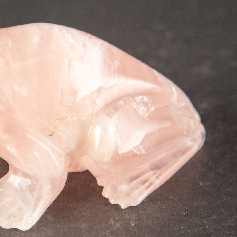 The Prince in Waiting: Carved Rose Quartz Frog