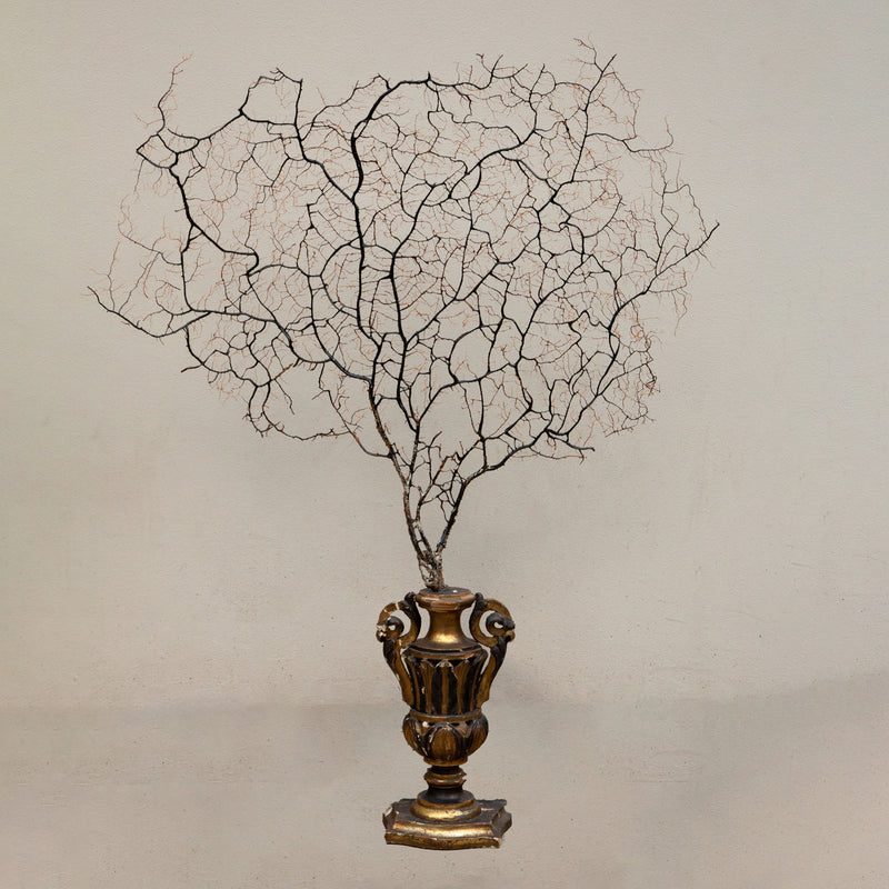 Opulent Ocean: Extra-Large Sea Fans on Antique Gilded Bases-60" High