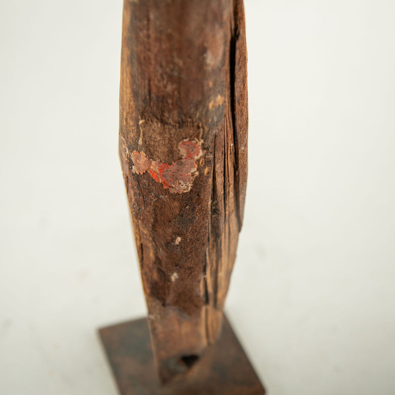 A Handshake With the Sea: A 19th Century Mounted Santos Arm w/Coral