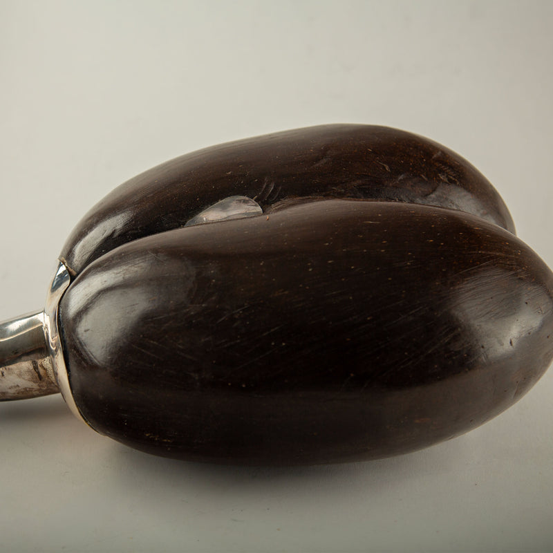 Large Coco de Mer Flamingo with Silver-Plated Head and Neck