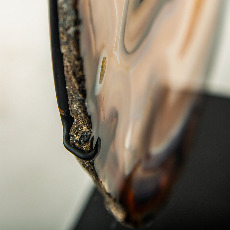 Sculptural Mounted Agate Slice with Warm Caramel and Honey Banding