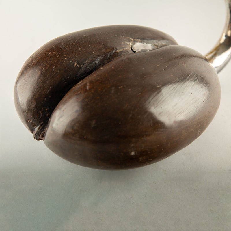 Large Coco de Mer Flamingo with Silver-Plated Head and Neck
