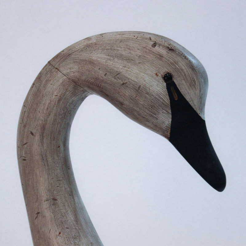 The Gentle Swan: Large Hand-Carved Folk Art Swan