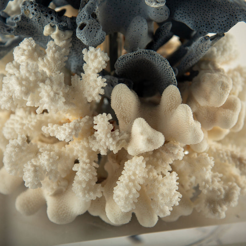 Natural Coral Reef Table Lamp with Blue Gorgonian and White Reef Corals