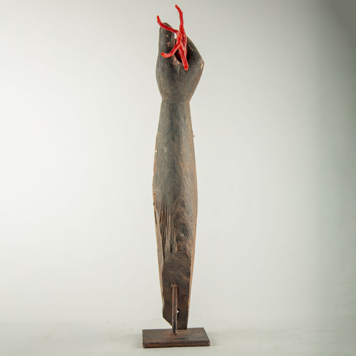 A Handshake With the Sea: A 19th Century Mounted Santos Arm w/Coral