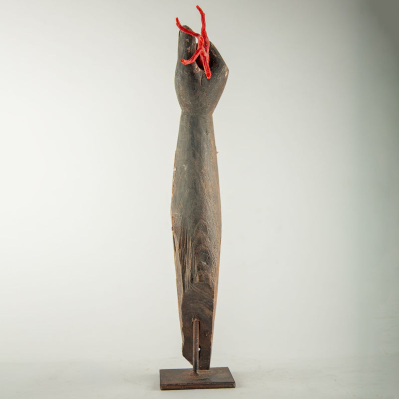 A Handshake With the Sea: A 19th Century Mounted Santos Arm w/Coral