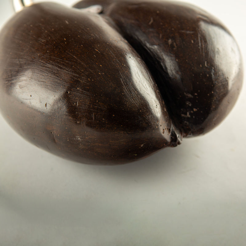 Large Coco de Mer Flamingo with Silver-Plated Head and Neck