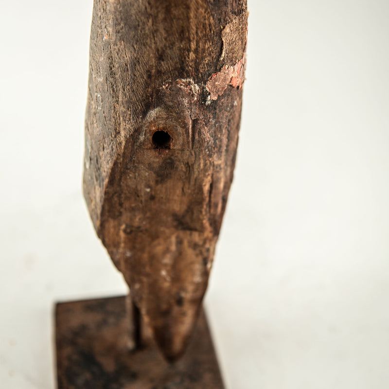 A Handshake With the Sea: A 19th Century Mounted Santos Arm w/Coral