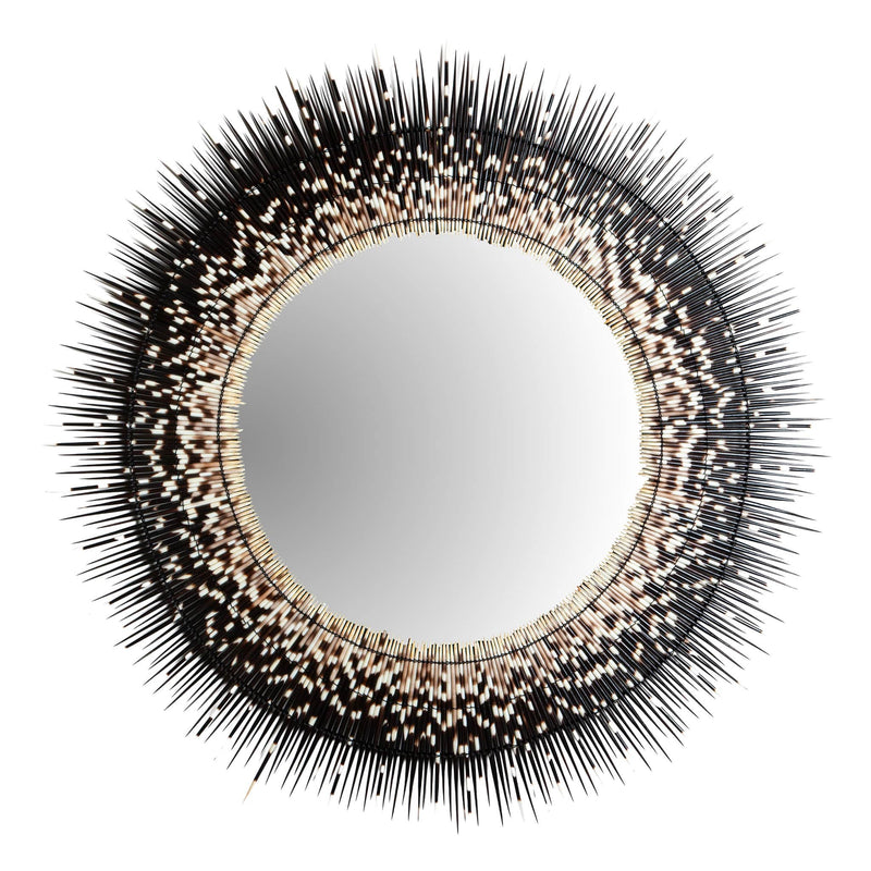 Halo of Quills: African Porcupine Mirror