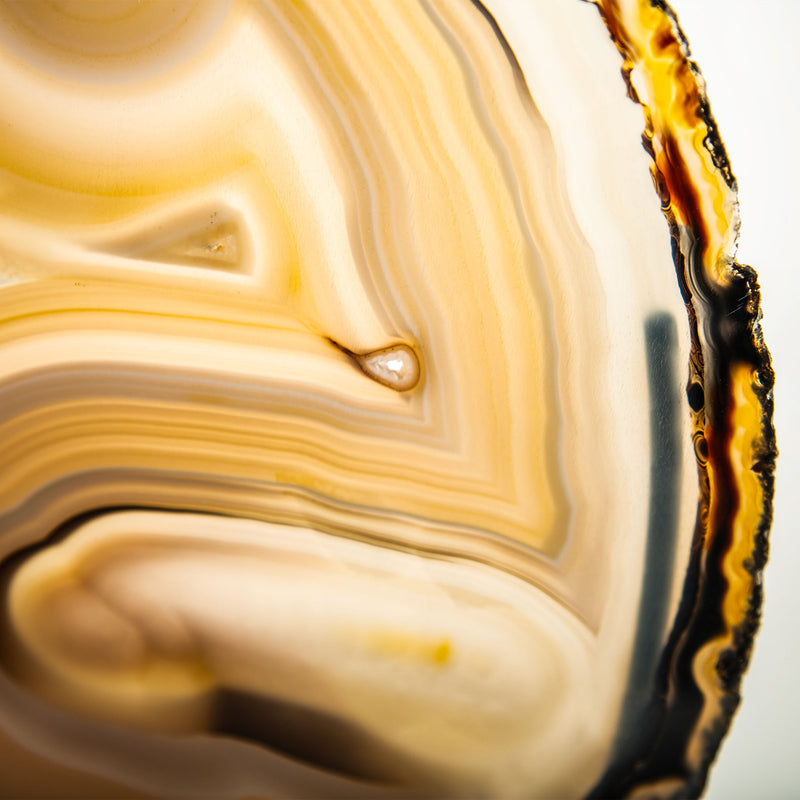 Sculptural Mounted Agate Slice with Warm Caramel and Honey Banding
