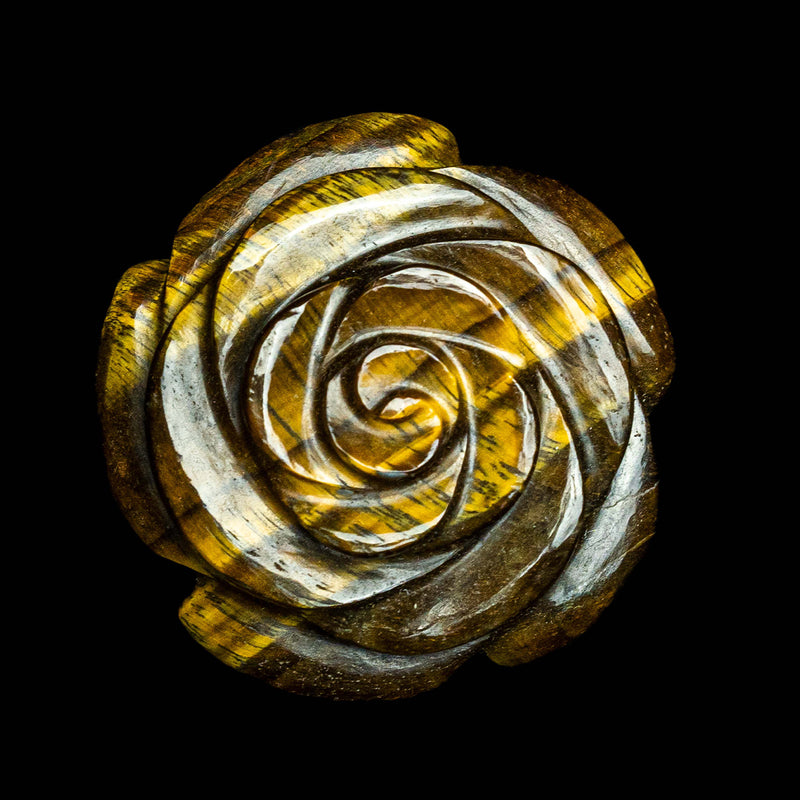 Tiger's Eye Camellia
