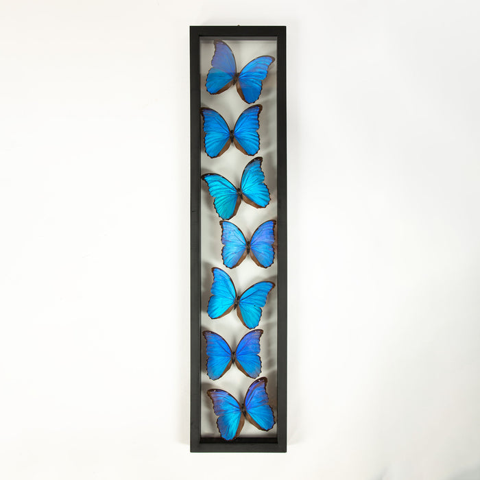 Framed Butterfly Swarm, 36" H