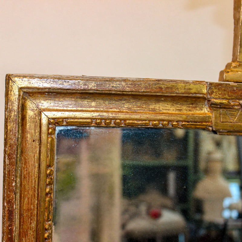 Birds of Love: Louis XVI Giltwood Mirror with Arrow Crest