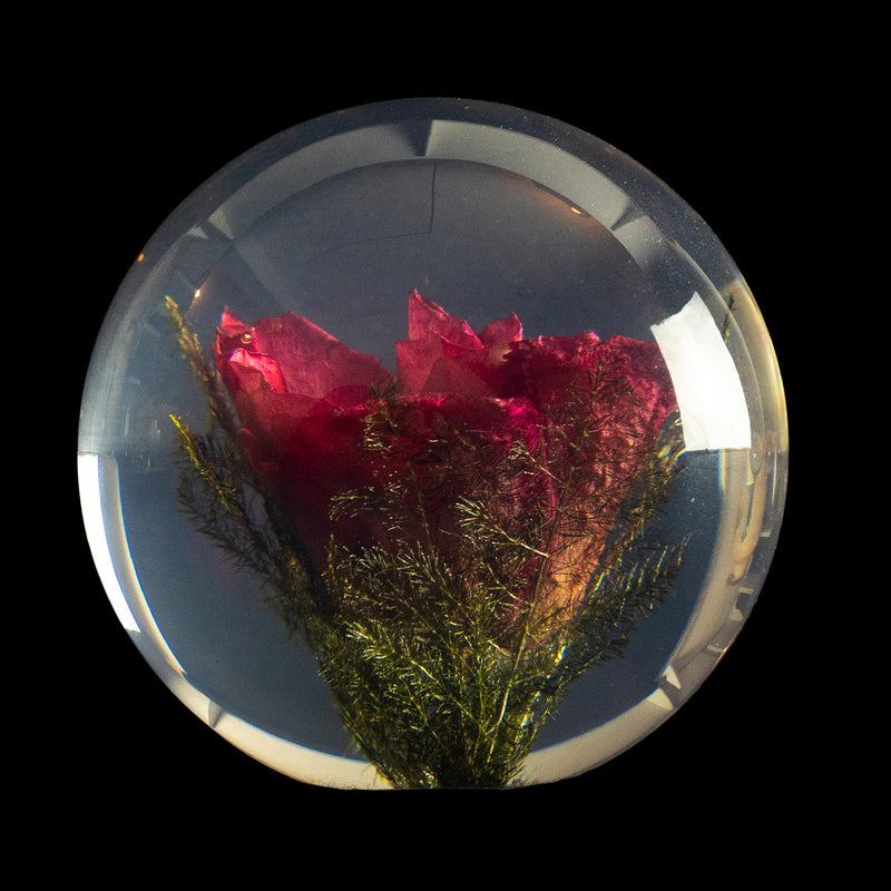 Paperweight, Red Rose
