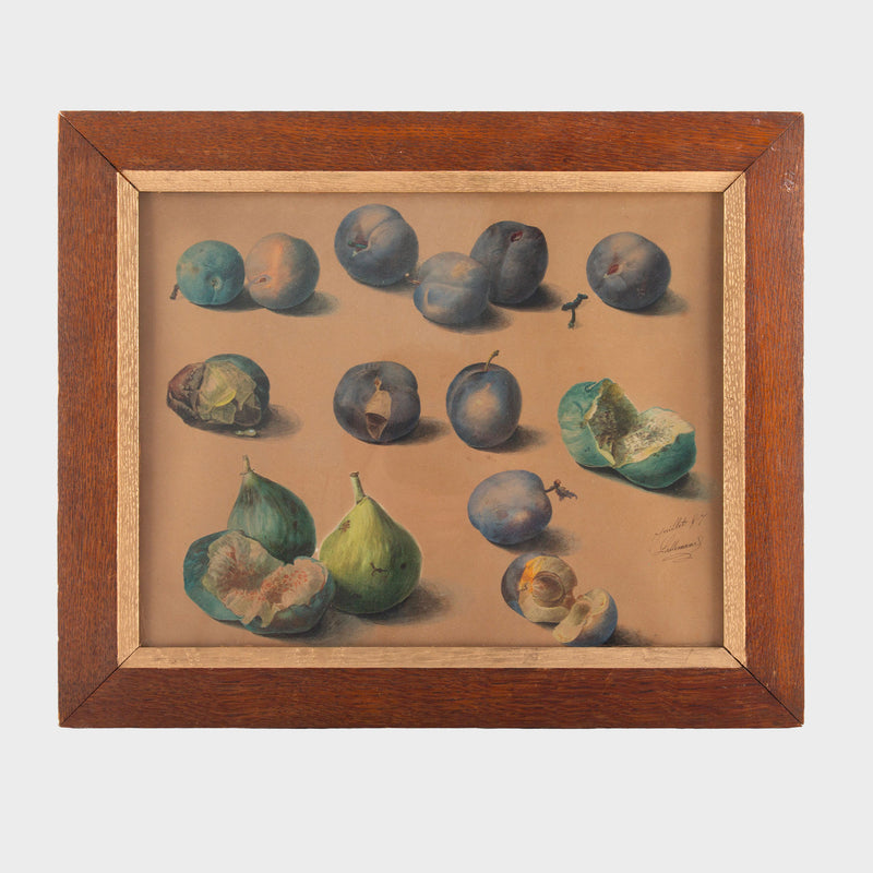 Still Life of Figs and Plums by Adèle Hippolyte Lallemand