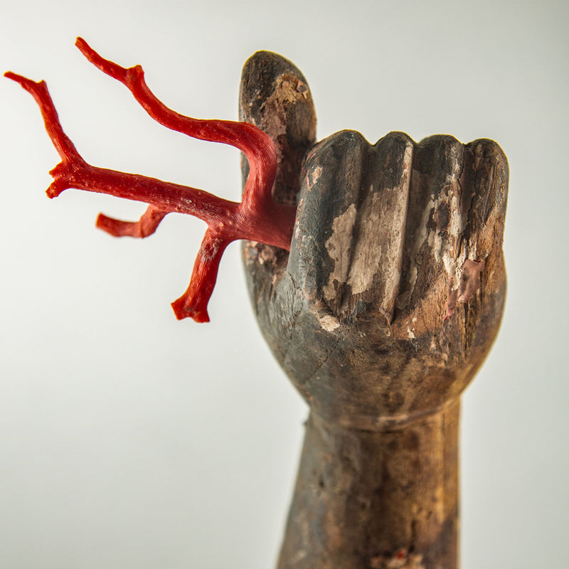 A Handshake With the Sea: A 19th Century Mounted Santos Arm w/Coral