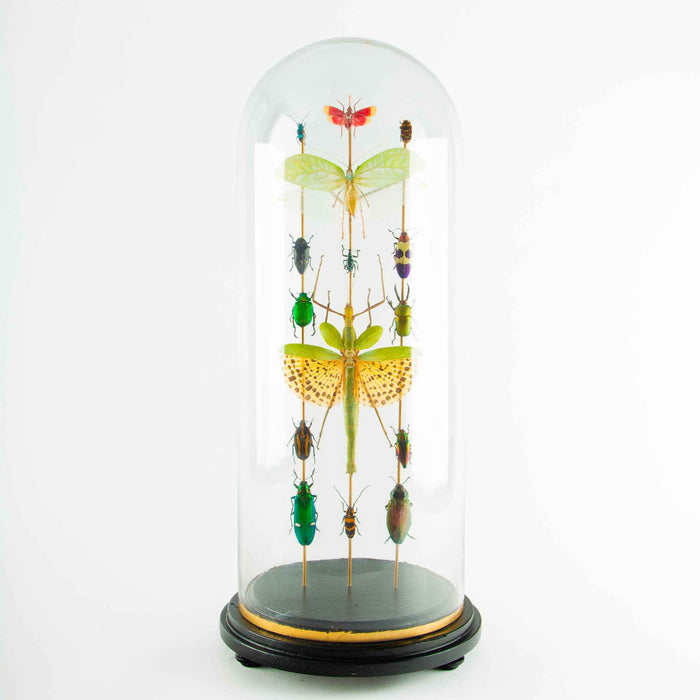 Totems by Hasharat
