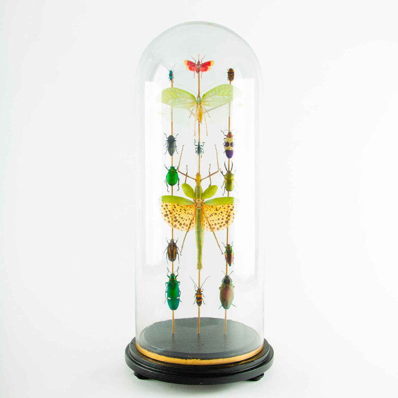 Totems by Hasharat