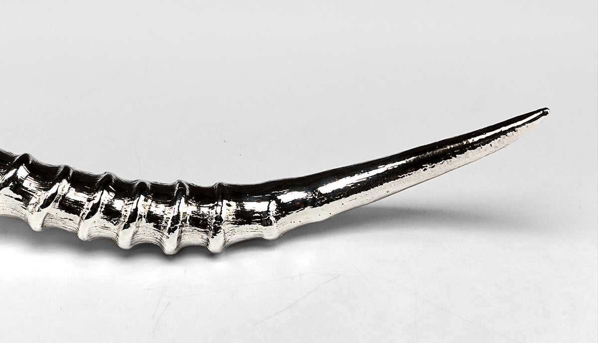 Silvered Antler/Horn