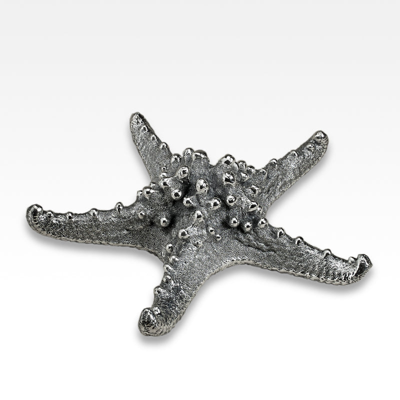 Silver Starfish Galeazzo 2" - 3"