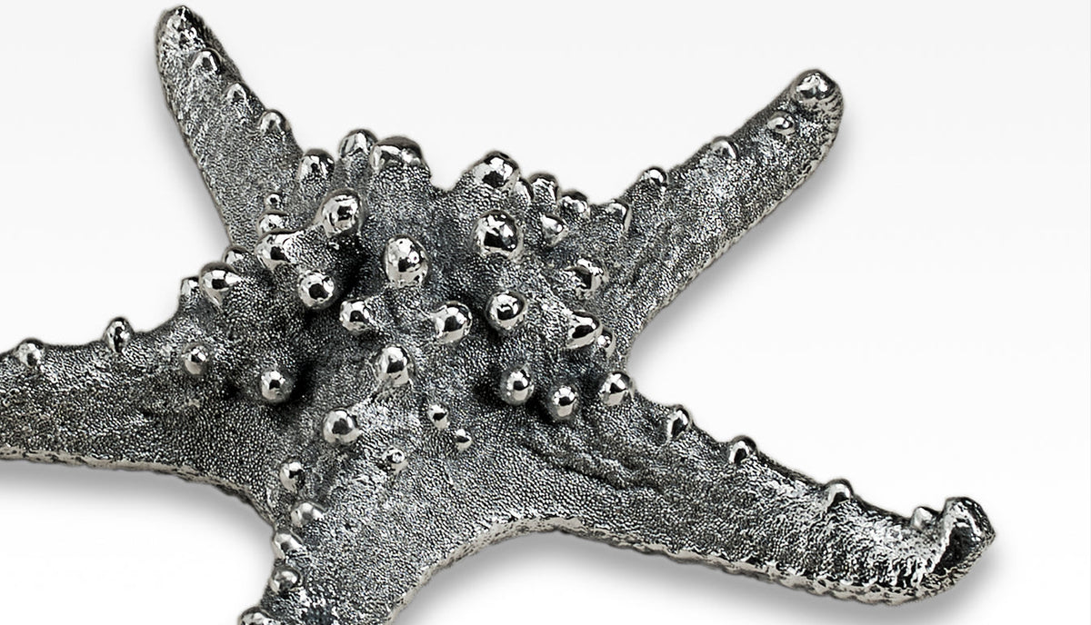 Silver Starfish Galeazzo 2" - 3"