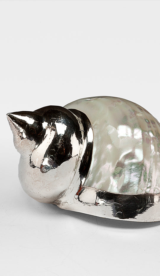 Partially Silvered Turbo Mother of Pearl Shell