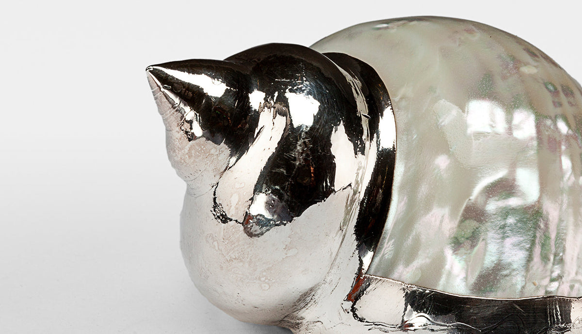 Partially Silvered Turbo Mother of Pearl Shell