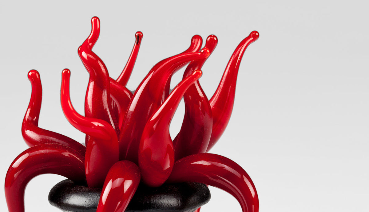 Venetian Glass Sea Anemone Place card Holder