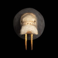 Walrus