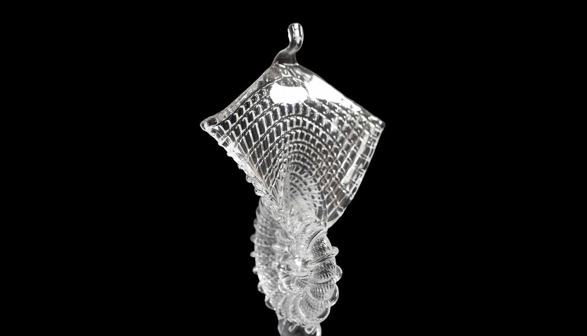 Glass Nautilus