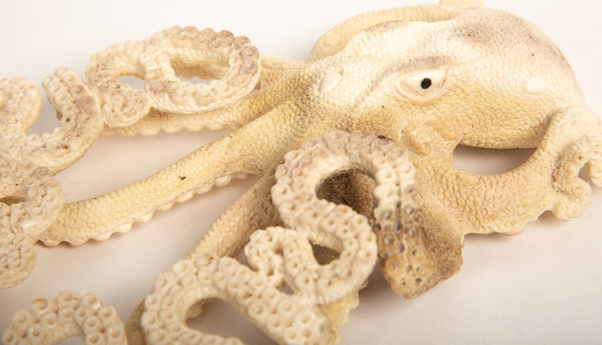 Moose Antler Octopus – Eight Arms of Awesome