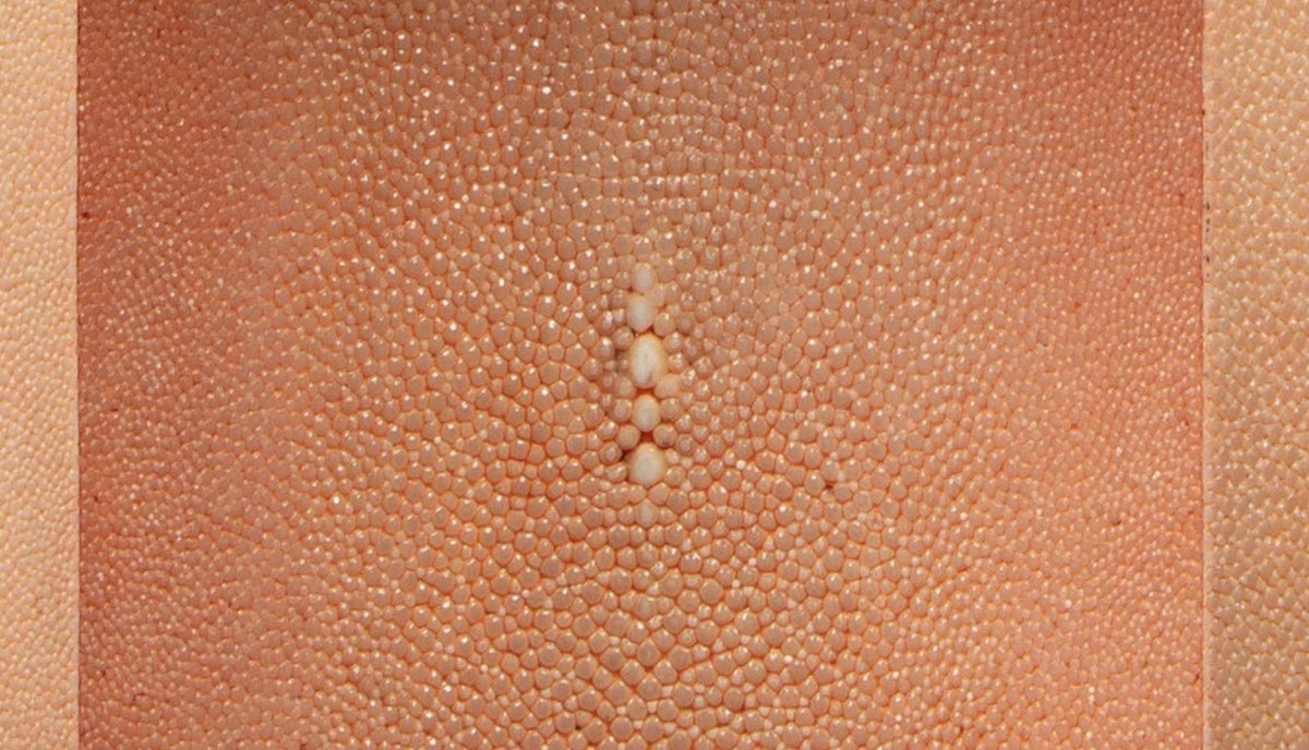 X-Shaped Shagreen Lamp, Light Coral