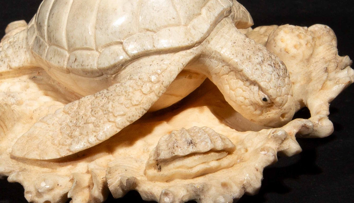 Hand Carved Moose Antler Turtle on a Bed of Coral, 3.25"