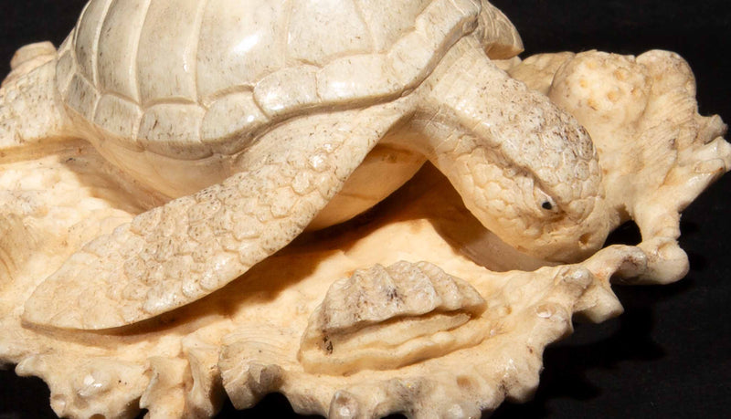 Hand Carved Moose Antler Turtle on a Bed of Coral, 3.25"
