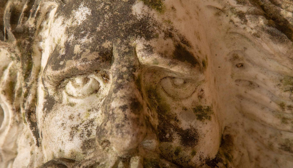Antique Marble Bust of a Man