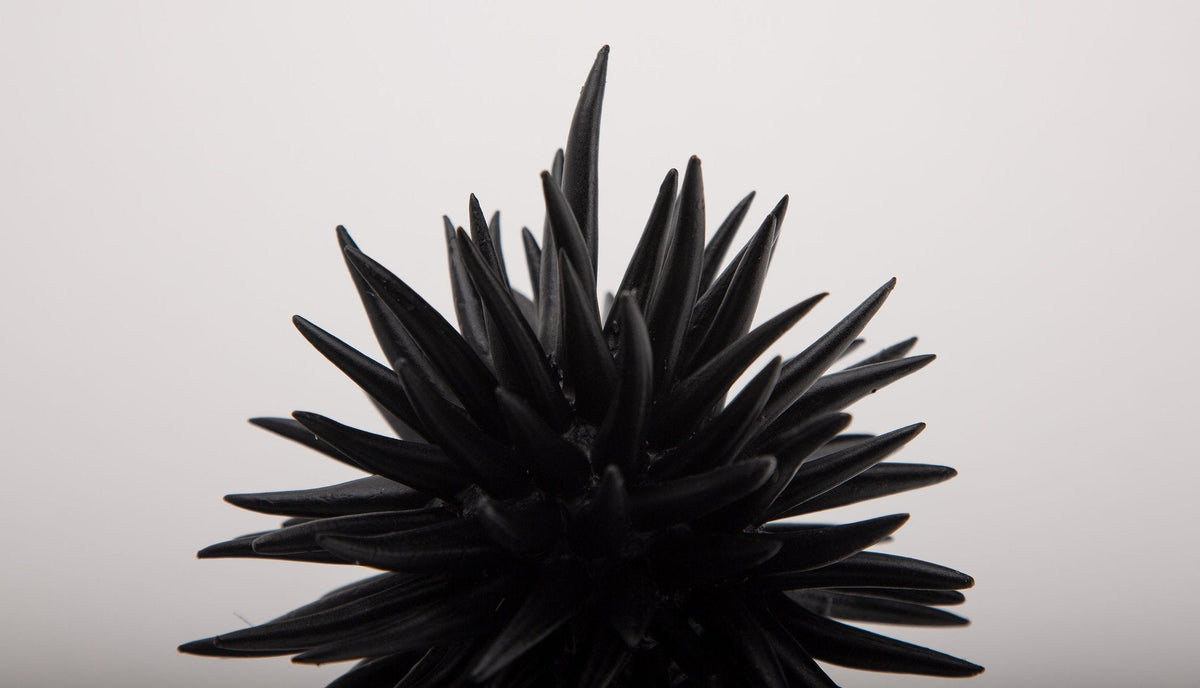 Diadema Black Resin Urchin 4"