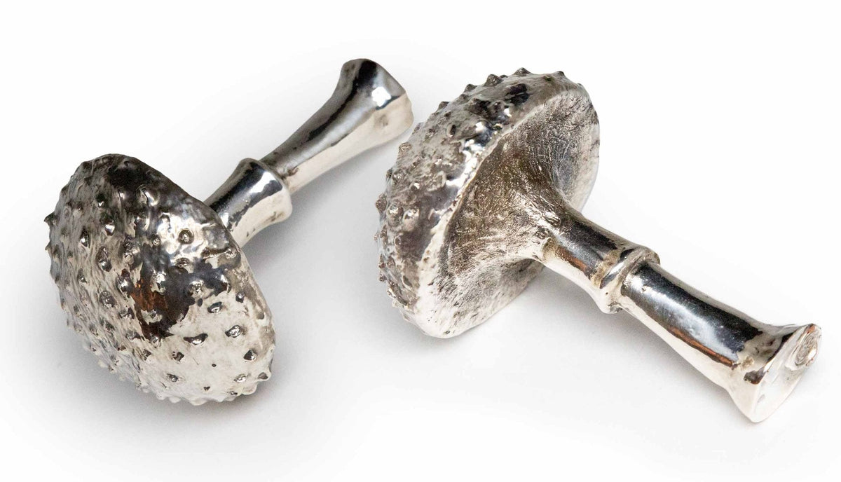 Silvered Amanita Mushroom