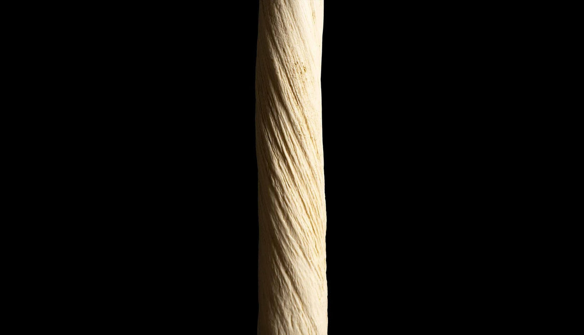 Narwhal Tusk Replica 90"