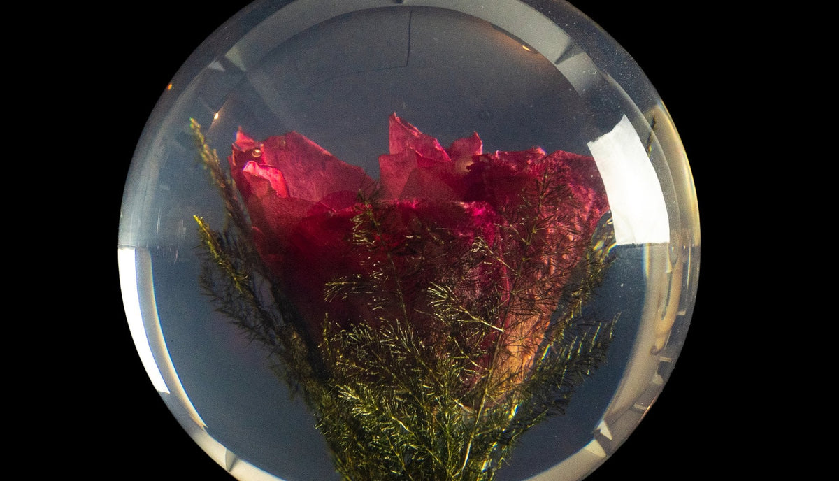 Paperweight, Red Rose