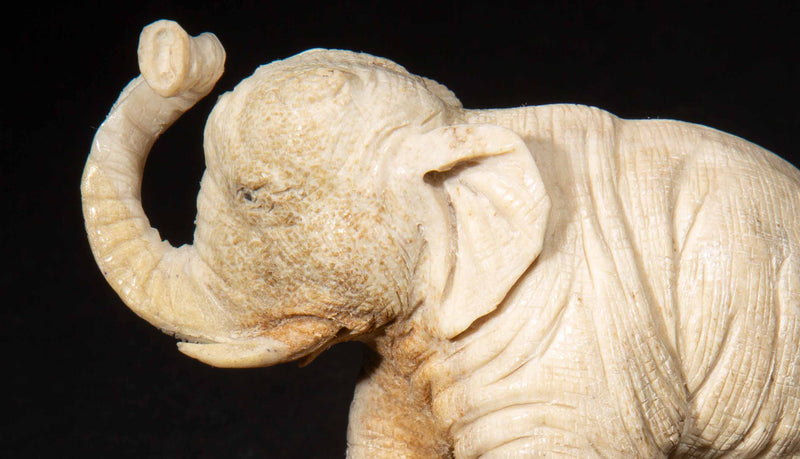 Hand Carved Moose Antler Elephant, 3.5"