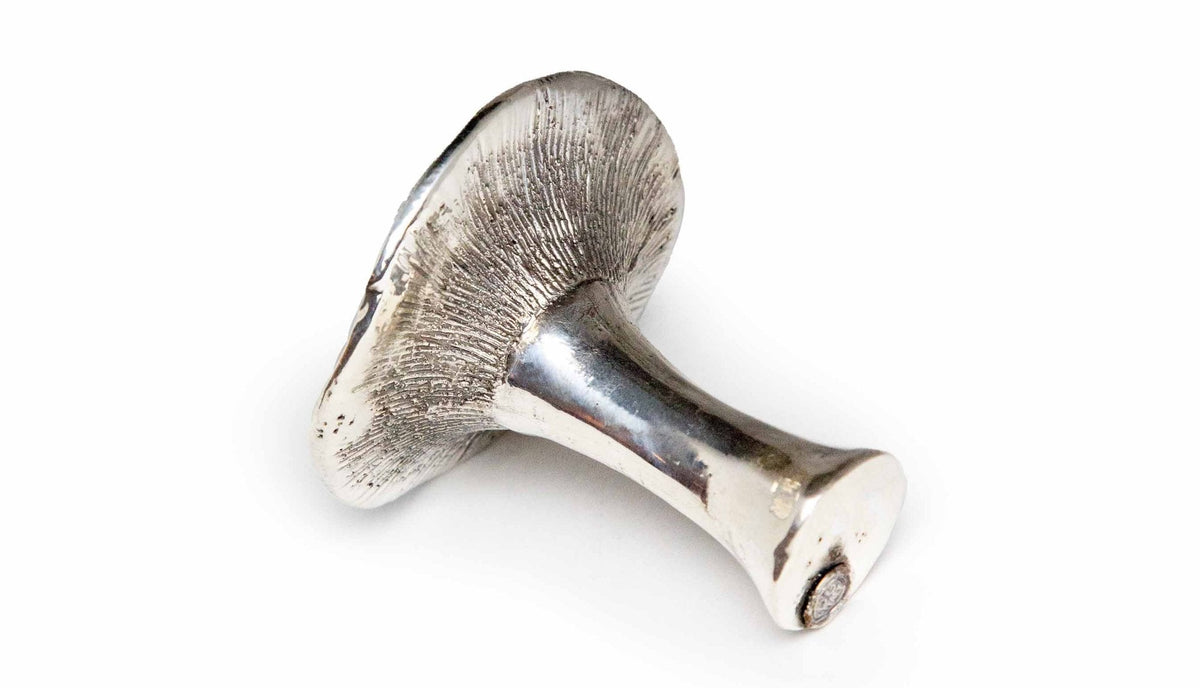 Silvered King Trumpet Mushroom